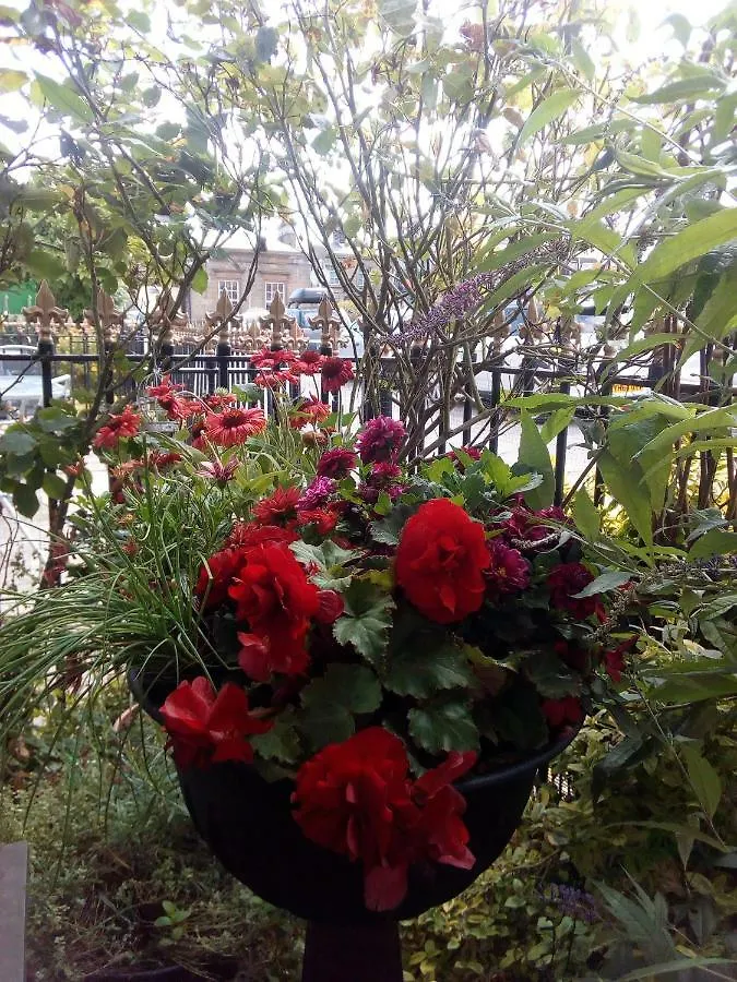 Affittacamere Caspians Boutique Guesthouse Scarborough